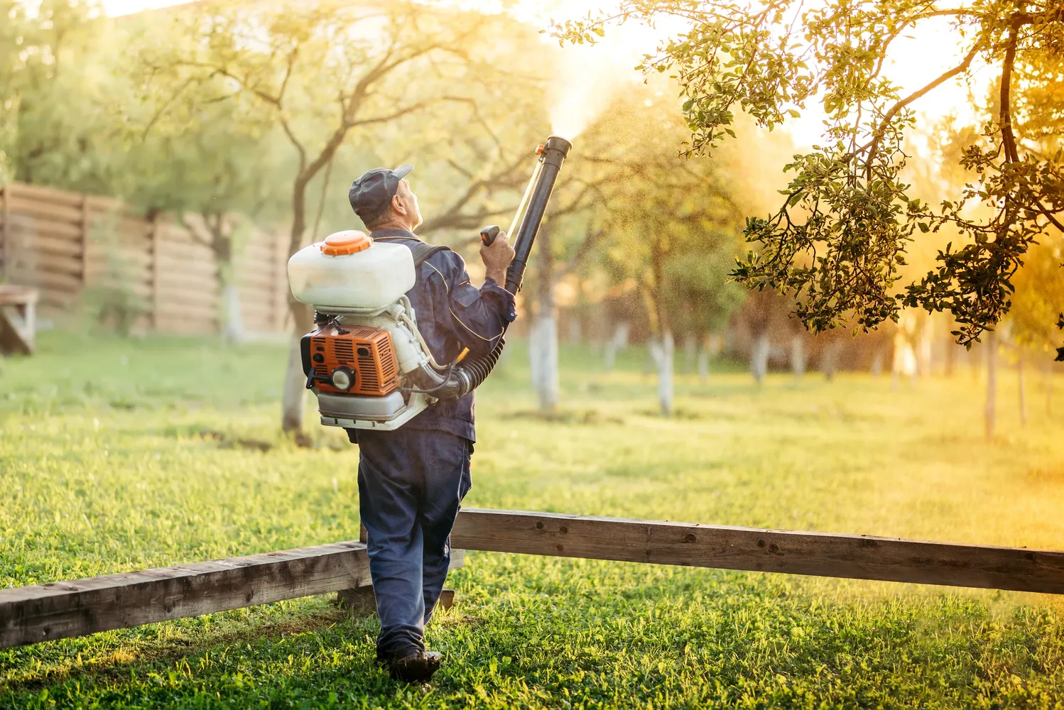 A man wearing overalls operates a pesticide sprayer in an orchard, targeting the upper branches of a tree.