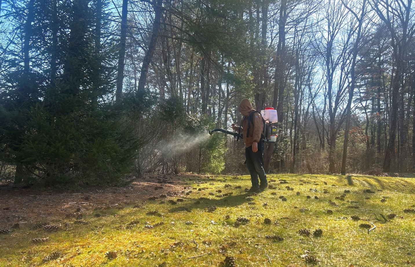 A person wearing a backpack sprayer is applying treatment to a lawn in a wooded area on a sunny day.